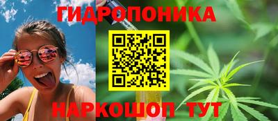 спайс Малгобек