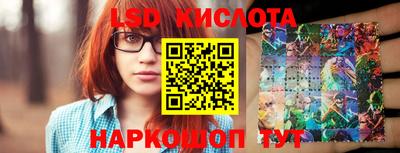 спайс Малгобек