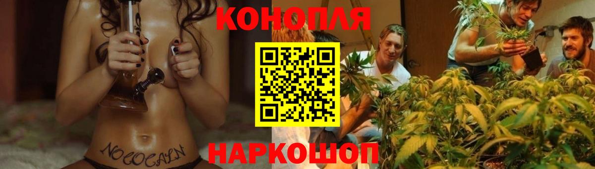 Бошки марихуана тримм  Вход с VPN  Грозный  Каннабис White Widow  Канабис LSD WEED 